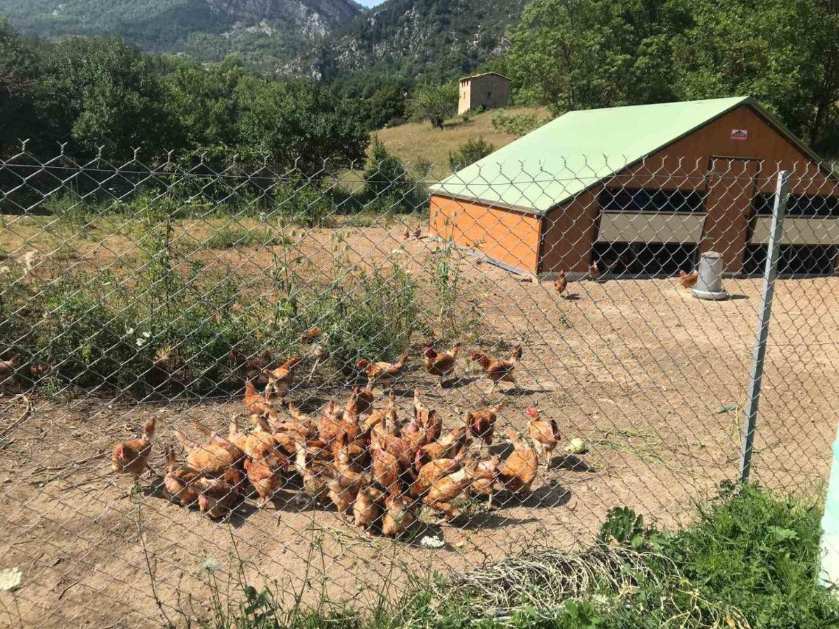 Camping La Ferme De كاستيلان المظهر الخارجي الصورة